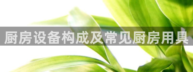 尊龙凯时ag旗舰厅官：厨房设备构成及常见厨房用具