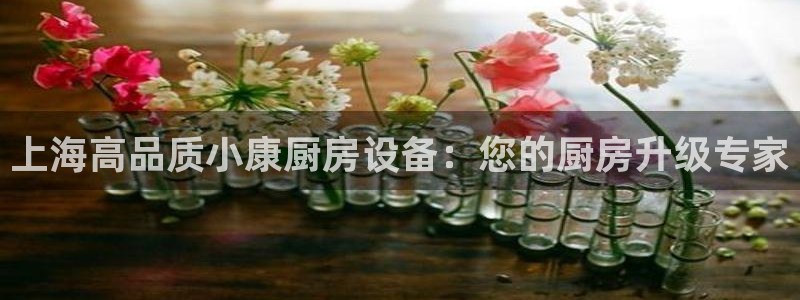 尊龙凯时 人生就是搏!平台：上海高品质小康厨房设备：您的厨房