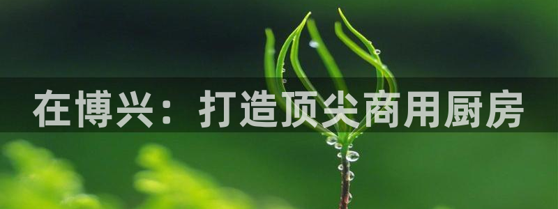 尊龙游戏官方网