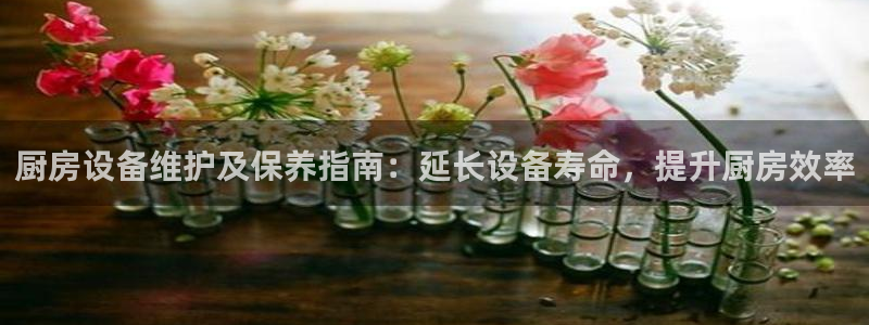 尊龙凯时网站网址：厨房设备维护及保养指南：延长设备寿命，提升