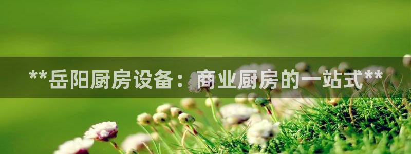 尊龙d88官网登录苹果版下载：**岳阳厨房设备：商业厨房的一