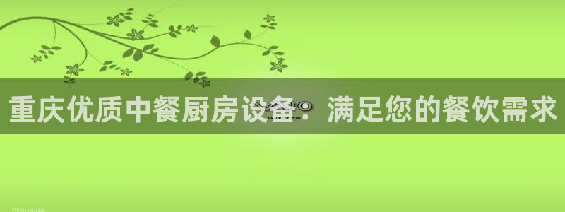 尊龙网址苹果版下载：重庆优质中餐厨房设备：满足您的餐饮需求