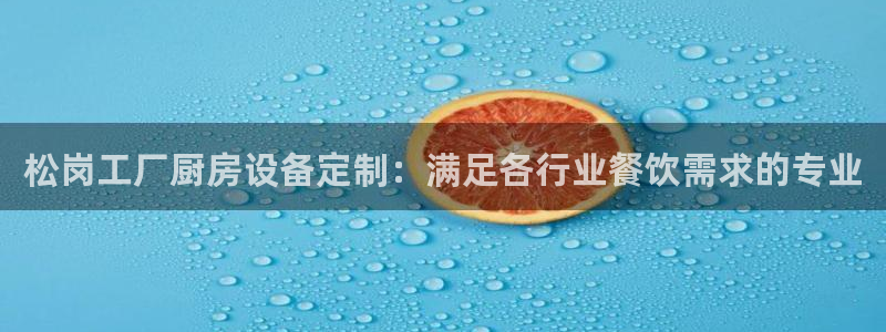 尊龙长相评价：松岗工厂厨房设备定制：满足各行业餐饮需求的专业