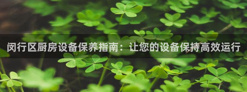 凯时平台登录：闵行区厨房设备保养指南：让您的设备保持高效运行