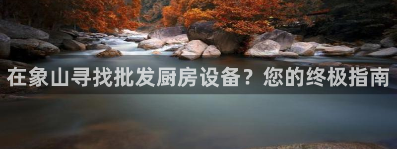 尊龙凯时新闻：在象山寻找批发厨房设备？您的终极指南