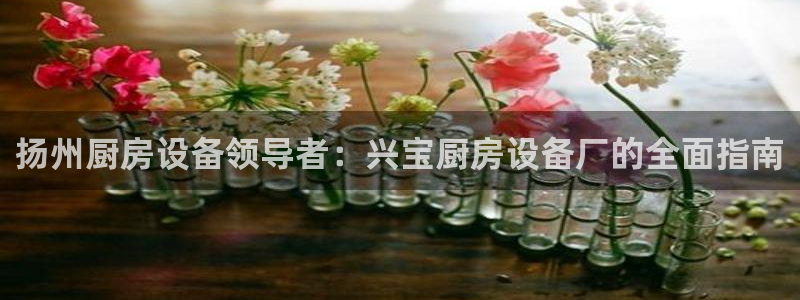 尊龙凯时怎么注销账号：扬州厨房设备领导者：兴宝厨房设备厂的全