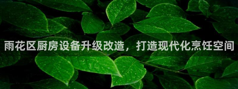 尊龙凯时ag旗舰厅登陆：雨花区厨房设备升级改造，打造现代化烹