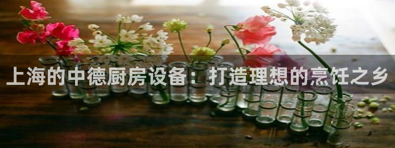 尊龙人生就是博官网登录手机：上海的中德厨房设备：打造理想的烹