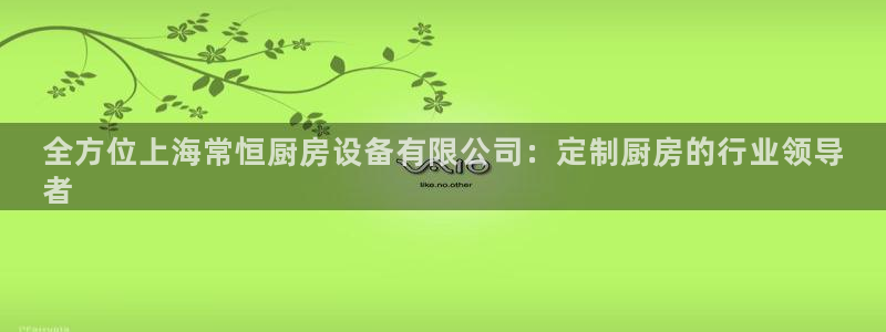 尊龙负面新闻：全方位上海常恒厨房设备有限公司：定制厨房的行业