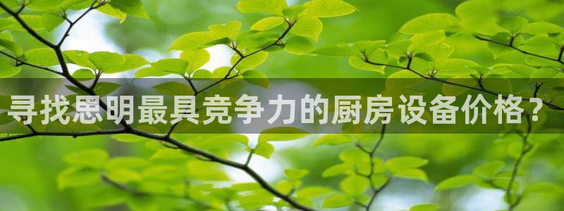 凯时app官网首页：寻找思明最具竞争力的厨房设备价格？